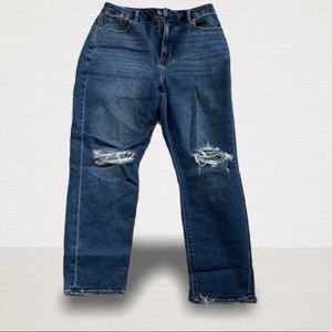 American Eagle Curvy Mom Jean